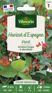 Haricot d'Espagne Varié